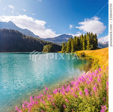 Great view of the azure pond Champfer. Location Swiss alps, Silvaplana village, district of Maloja, Europe. Great view of the azure pond Champfer. Location Swiss alps, Silvaplana village, district of Maloja, Europe. 130644350