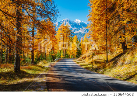 Magical yellow larches. Location place Dolomiti Alps, Cortina d'Ampezzo, Italy, Europe. 130644508