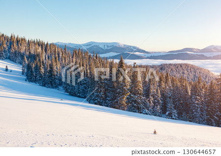 View of the misty valley. Location Carpathian, Ukraine, Europe. 130644657