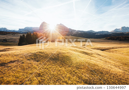 Lovely yellow field in sunlight. Location place Dolomiti, Compaccio village, Alpe di Siusi, Province of Bolzano - South Tyrol, Italy, Europe. 130644997