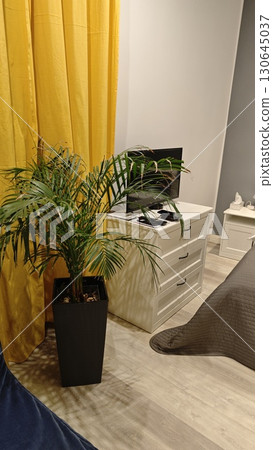 Cozy modern bedroom corner with a green palm plant and white chest of drawers next to a yellow curtain 130645037