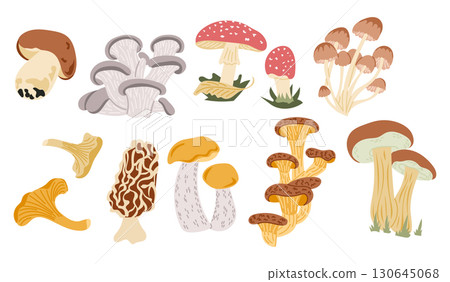 Set of edible and wild mushrooms collection in flat style with various species and colors 130645068