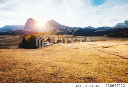Lovely yellow field in sunlight. Location place Dolomiti, Compaccio village, Alpe di Siusi, Province of Bolzano - South Tyrol, Italy, Europe. 130645222