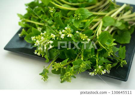 Flower wasabi on a plate 130645511