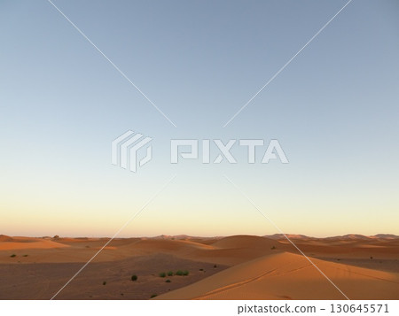 Sahara Desert, Morocco Travel, Camels, Sunrise, Beautiful Sky 130645571