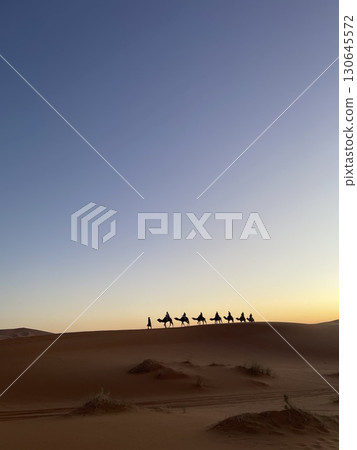 Sahara Desert, Morocco Travel, Camel Riders, Sunrise, Beautiful Sky 130645572