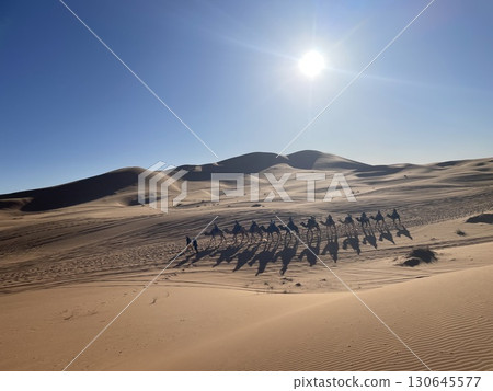 Sahara Desert, Morocco, Camel Riders, Sun, Cloudless Sky Sahara Desert, Morocco, Camel Riders, Sun, Cloudless Sky 130645577