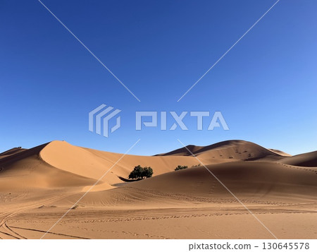 Sahara Desert, Morocco, clear skies, no clouds Sahara Desert, Morocco, clear skies, no clouds 130645578