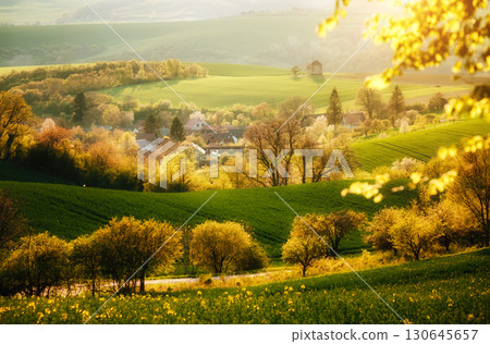 Majestic rural landscape with an old mill. Beautiful sunlight on the wavy fields Kunkovice village. 130645657