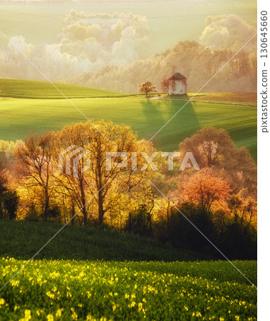Majestic rural landscape with an old mill. Beautiful sunlight on the wavy fields Kunkovice village. 130645660
