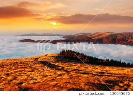 Breathtaking morning moment in alpine foggy valley. 130645670
