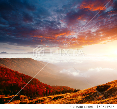 Breathtaking morning moment in alpine foggy valley. 130645687