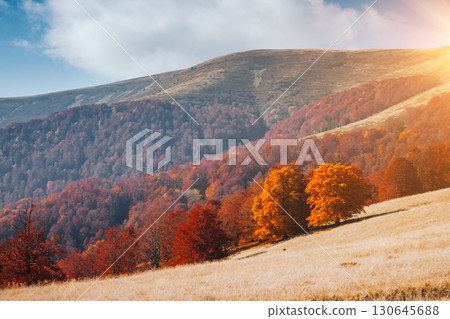 Breathtaking morning moment in alpine foggy valley. Location place of Carpathian mountains, Ukraine, Europe. 130645688