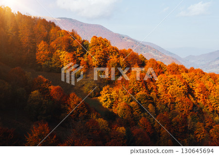 Bright autumn forest on a mountain slope.  Location place of Carpathian mountains, Ukraine, Europe. 130645694