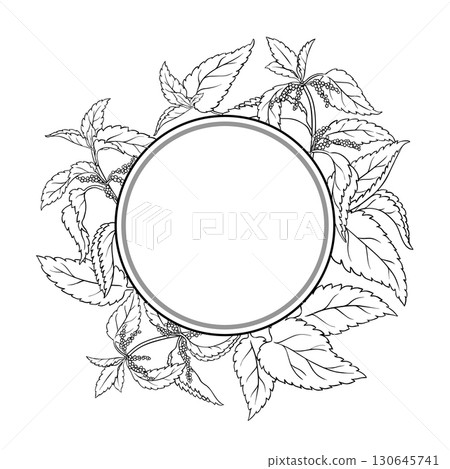 Nettle Plant Outline Round Frame. 130645741