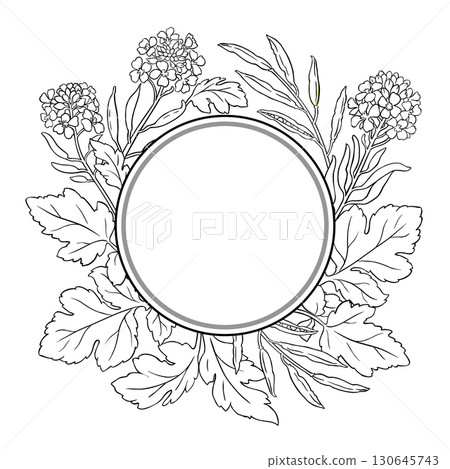 Mustard Plant Outline Round Frame. 130645743