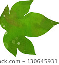 Leaf illustration material 130645931