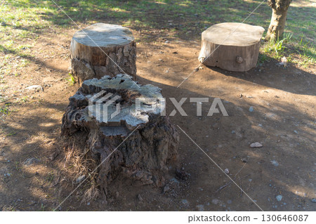Stump rest area 130646087