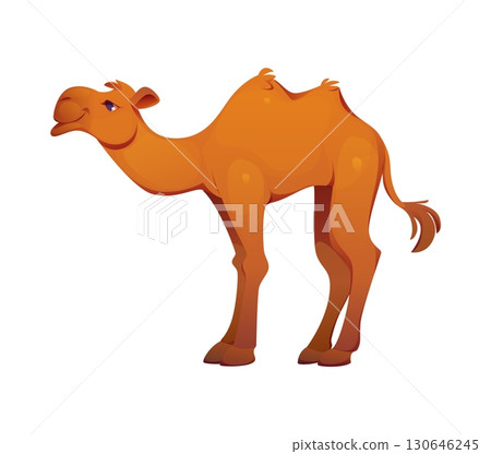Cartoon camel with two humps, Egypt game icon, Egyptian animal in warm brown tones. Isolated vector personage for desert, adventure, or ancient Egyptian game assets and educational illustrations 130646245
