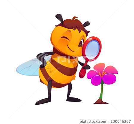Cartoon cheerful honey bee character looking through a magnifying glass and learning pink blooming flower. Isolated vector whimsical, curious insect personage with curious expression studying blossom 130646267
