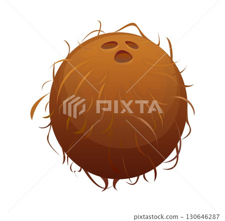 Cartoon raw ripe coconut, isolated vector whole tropical fruit with rough, brown, hairy shell, showing natural texture. Healthy exotic cooking and baking ingredient, refreshing drink, beach plant 130646287