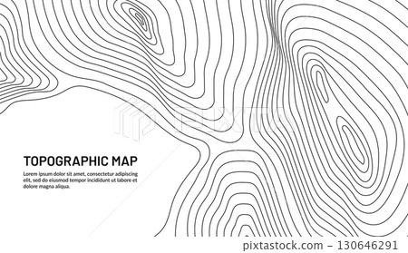 Relief contour topographic map. Vector abstract topographical layout with black curved lines, represent geographical terrain landscape structure elevation for cartography or geographical education 130646291