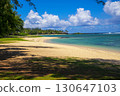 St. Felix Public Beach in Southern Mauritius 130647103