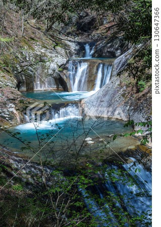 Nishizawa Valley, Yamanashi Prefecture 130647366