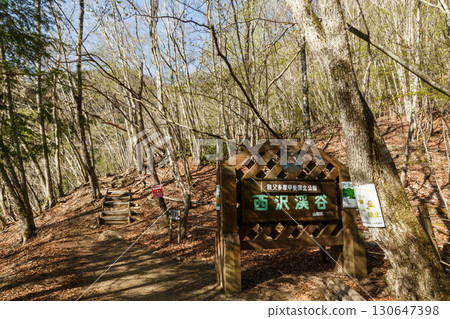 Nishizawa Valley, Yamanashi Prefecture 130647398
