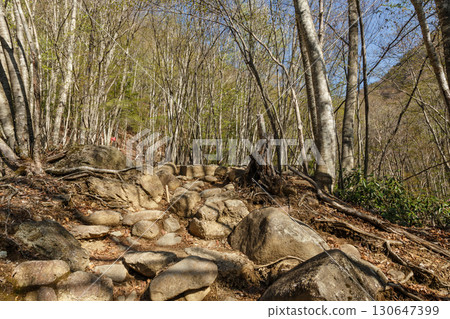 Nishizawa Valley, Yamanashi Prefecture Nishizawa Valley, Yamanashi Prefecture 130647399