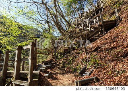 Nishizawa Valley, Yamanashi Prefecture 130647403