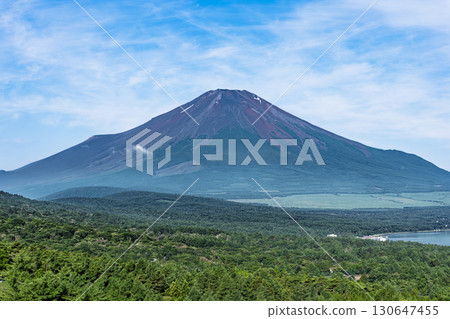Mount Fuji in summer as seen from the panoramic platform 130647455