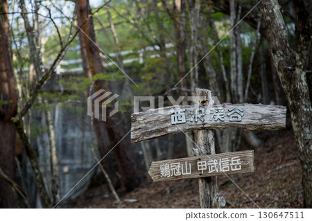 Nishizawa Valley, Yamanashi Prefecture 130647511