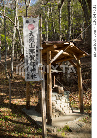 Nishizawa Valley, Yamanashi Prefecture 130647533