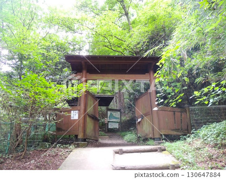 Kodaira Wet Botanical Garden 130647884