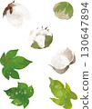 Cotton illustration material 130647894