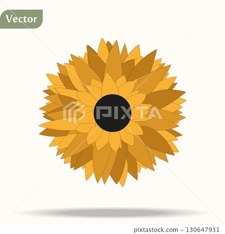 beautiful sunflower icon, abstract natural flower background 130647931