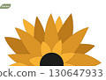 beautiful sunflower icon, abstract natural flower background 130647933