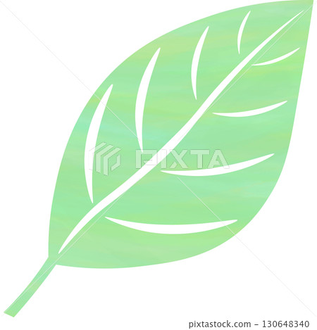 美麗的水彩葉子圖示圖像的插圖 130648340