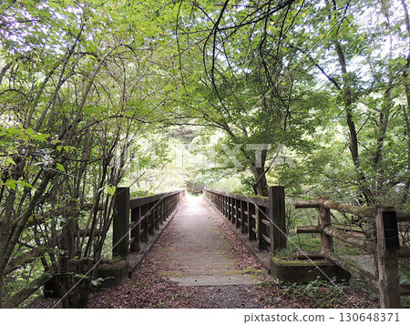 Kodaira Wet Botanical Garden 130648371