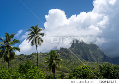 Mount Temetiu near Atuona, Hiva Oa, French Polynesia, Marquesas Islands 130648381