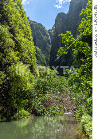 Vaipo waterfall in Hakaui valley, Nuku Hiva, French Polynesia wild nature Vaipo waterfall in Hakaui valley, Nuku Hiva, French Polynesia wild nature 130648389
