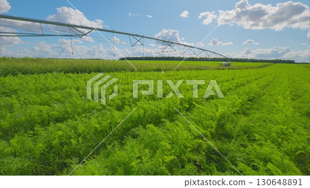 Vibrant and Lush Green Fields Equipped with an Advanced Irrigation System Under a Clear Blue Sky Vibrant and Lush Green Fields Equipped with an Advanced Irrigation System Under a Clear Blue Sky 130648891