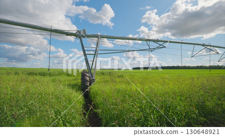 An irrigation system is actively functioning over a lush green crop field beneath a bright blue sky 130648921