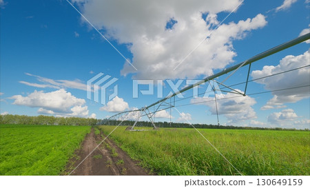 The process of irrigation is taking place in lush agricultural fields under a bright blue sky 130649159