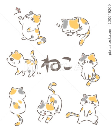 無背景的各種貓 130649209