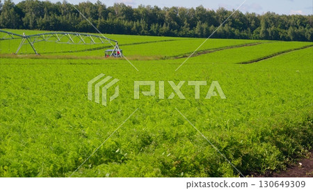 A Lush and Vibrant Green Agricultural Field Equipped with a Comprehensive Irrigation System 130649309