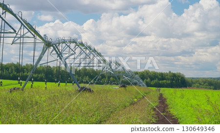 Irrigated Crop Field Beneath a Bright Blue Sky with Beautiful Clouds Floating Above 130649346