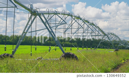 An Irrigation System Over Vibrant Green Fields Beneath a Cloudy Sky Filled with Clouds 130649352