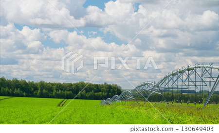 Vibrant Green Fields with an Efficient Irrigation System Beneath a Beautiful Blue Sky 130649403